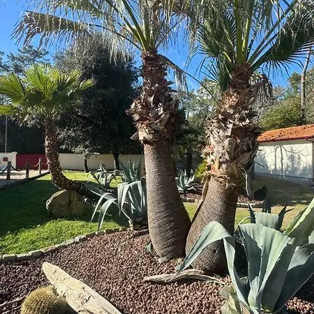 Le Chai De L'ocean - Soulacaise A 100m Piscine Jardin 1400m2 *