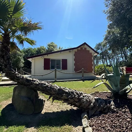 Le Chai De L'ocean - Soulacaise A 100m Piscine Jardin 1400m2 Willa *