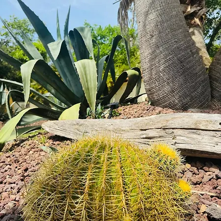 Le Chai De L'ocean - Soulacaise A 100m Piscine Jardin 1400m2 Willa