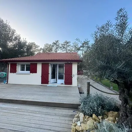 Le Chai De L'ocean - Soulacaise A 100m Piscine Jardin 1400m2 Soulac-sur-Mer