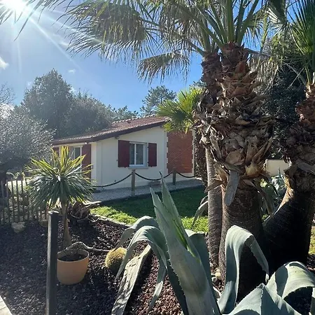 Le Chai De L'ocean - Soulacaise A 100m Piscine Jardin 1400m2 Villa Soulac-sur-Mer