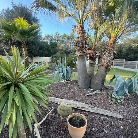 Le Chai De L'ocean - Soulacaise A 100m Piscine Jardin 1400m2 *