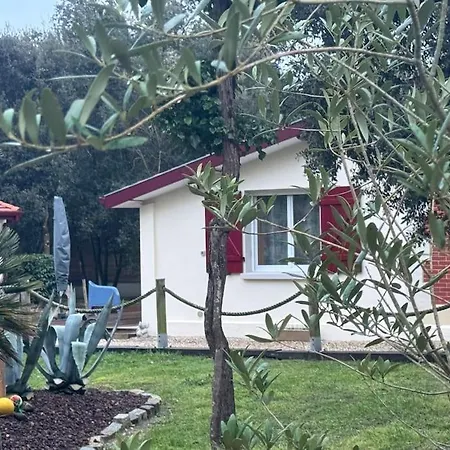 Le Chai De L'océan - Soulacaise à 100m Piscine Jardin 1400m2