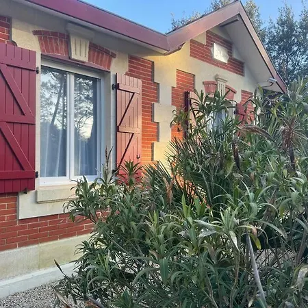 Villa Le Chai De L'océan - Soulacaise à 100m Piscine Jardin 1400m2 *