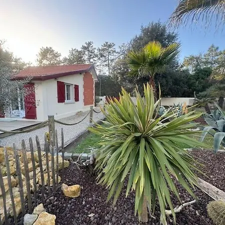 Le Chai De L'ocean - Soulacaise A 100m Piscine Jardin 1400m2