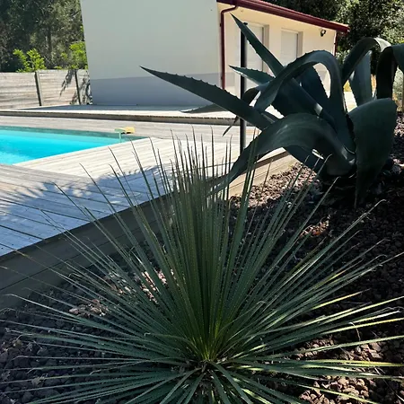 Le Chai De L'océan - Soulacaise à 100m Piscine Jardin 1400m2