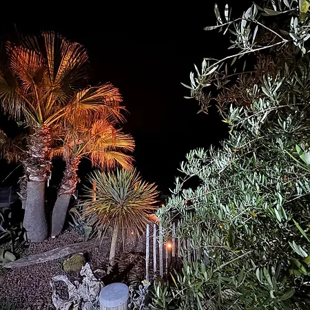 Le Chai De L'océan - Soulacaise à 100m Piscine Jardin 1400m2 *