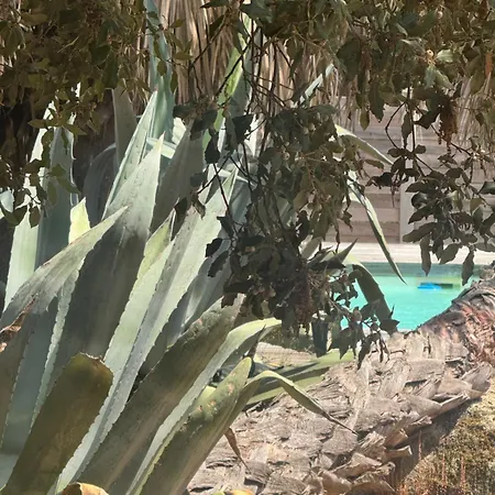 Le Chai De L'océan - Soulacaise à 100m Piscine Jardin 1400m2 Villa *