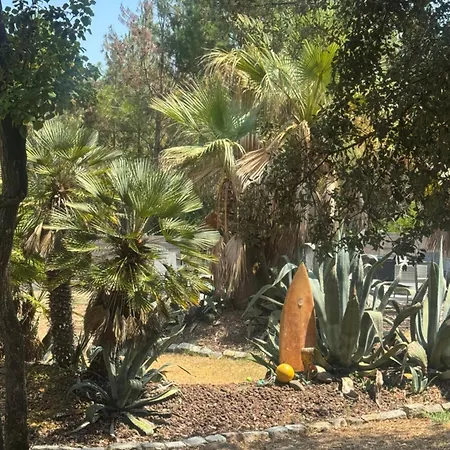 Villa Le Chai De L'océan - Soulacaise à 100m Piscine Jardin 1400m2 *