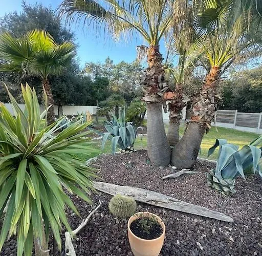 Le Chai De L'ocean - Soulacaise A 100m Piscine Jardin 1400m2 *